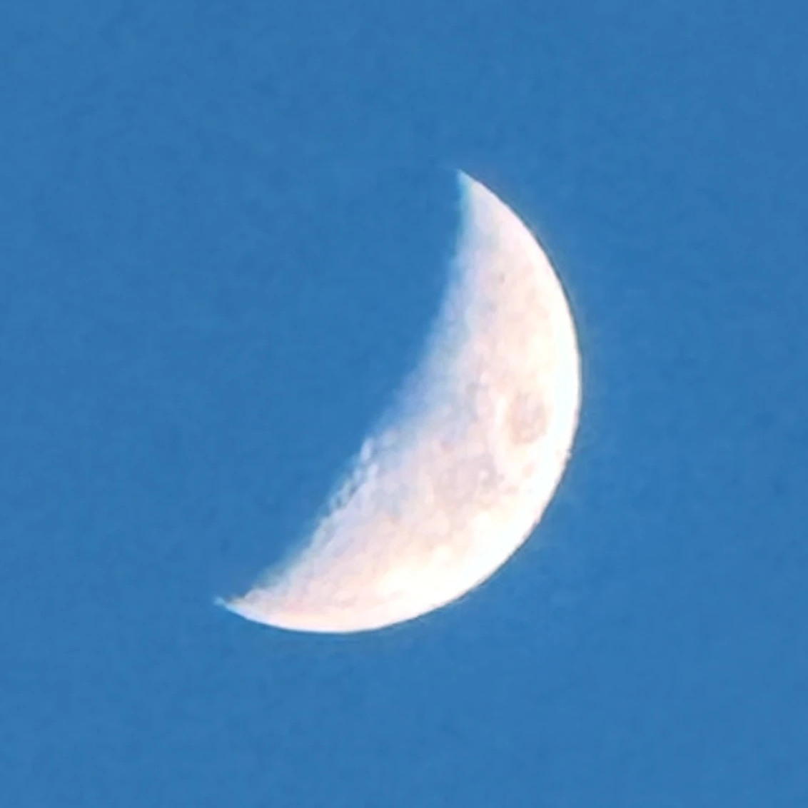 영조
