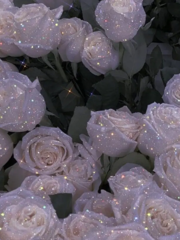 cx.h1의 :