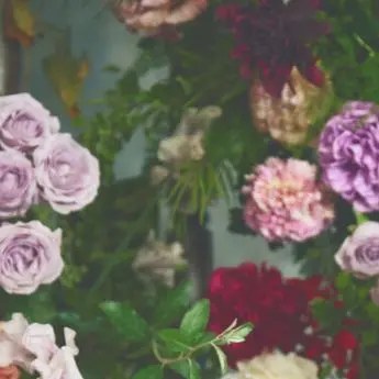 FierceSatin1634의 超特急クリニック