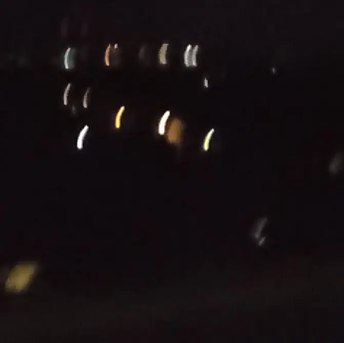 Koarapakoara의 自分用