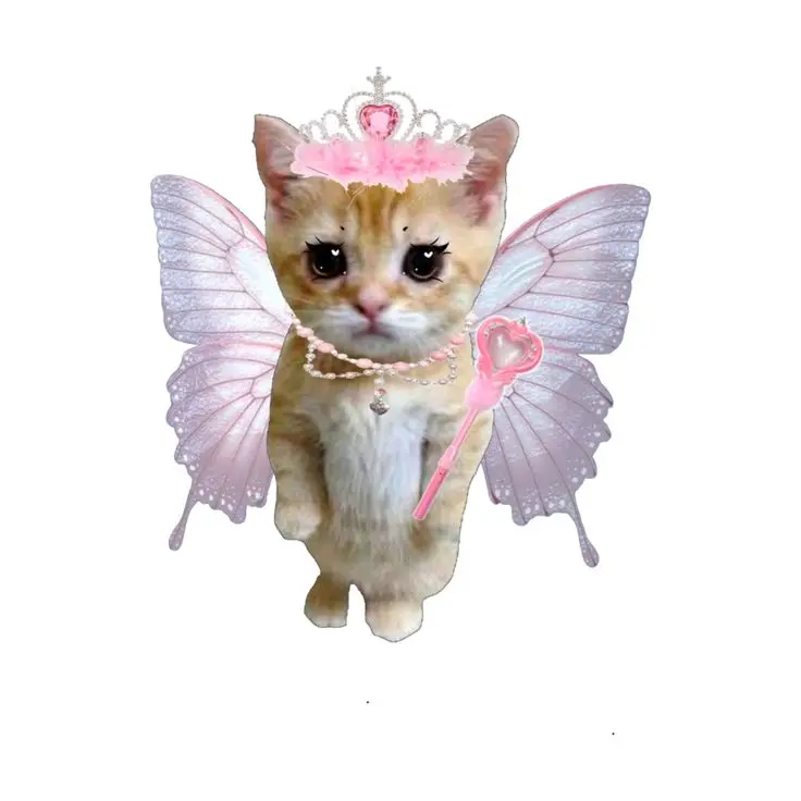 Kikihihi의 여잼 옾챗방에서 살아남기!