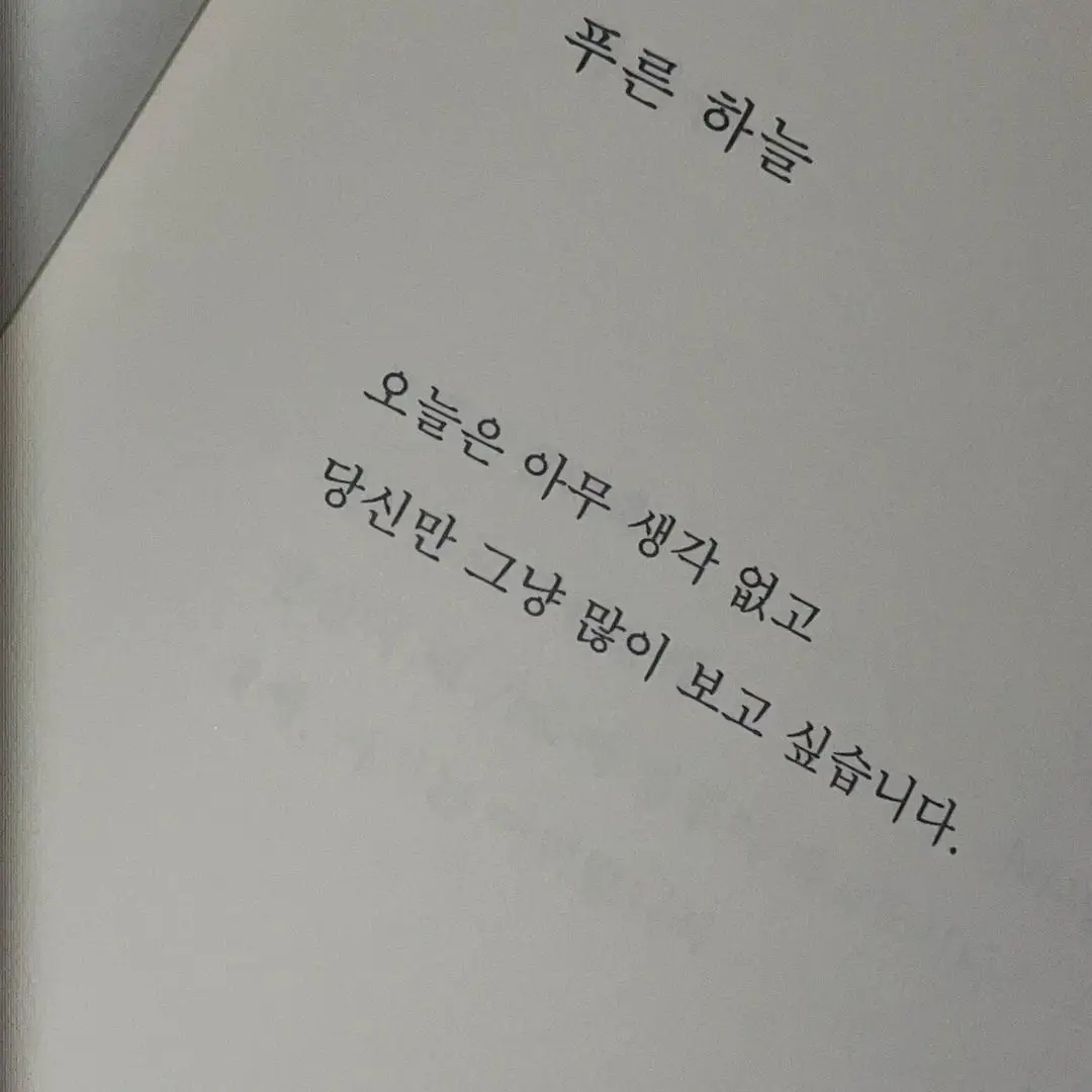 Bamm_Gyu의 최범규