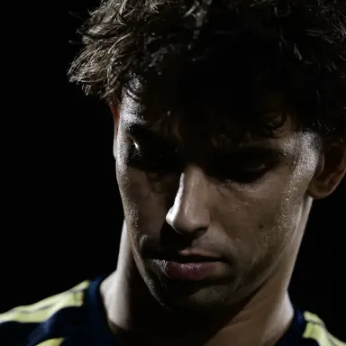 Profile image of Joao Felix Sequeira