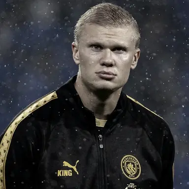 Profile image of Erling Braut Haaland