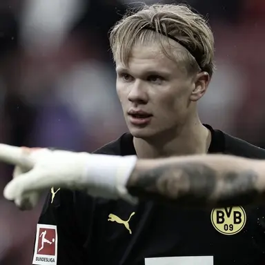 Profile image of Erling Braut Haaland
