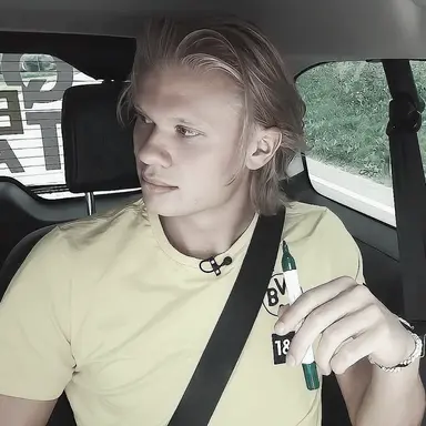 Profile image of Erling Braut Haaland