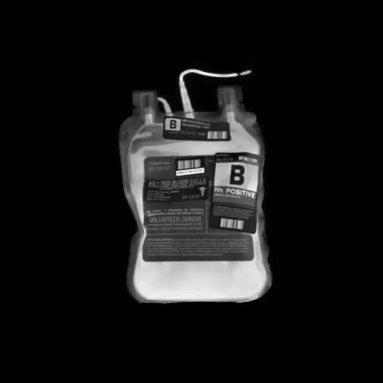 _________________________의 ㅤㅤ