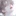 강수호