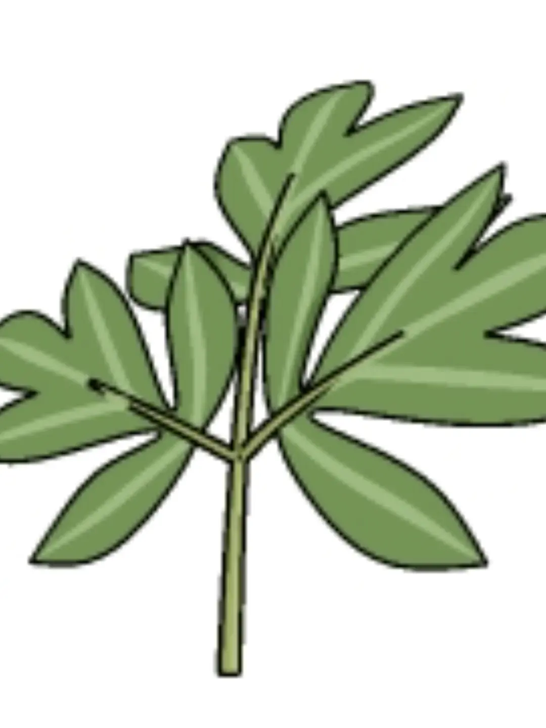 BrashTray6623의 '너는 나의 약초이자, 독이야.'