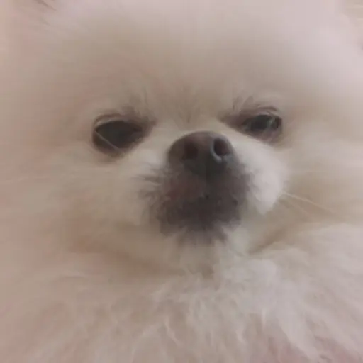 NuttyDuck1698의 박하양