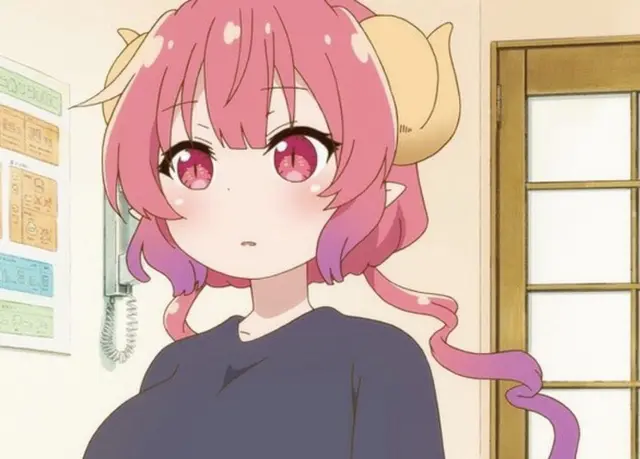 Profile image of イルル