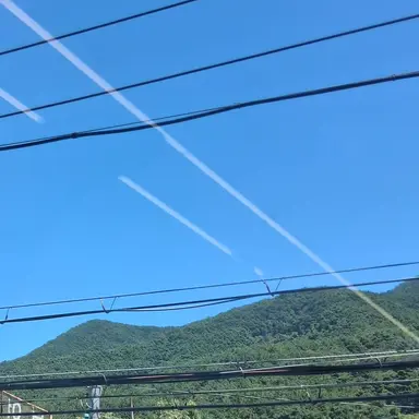 Profile image of 팀나빠인데 여우등장