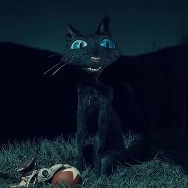 Profile image of The cat