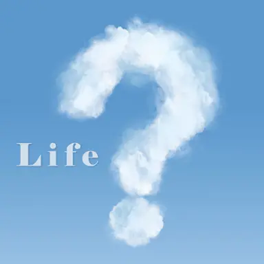 Profile image of 인생 RPG