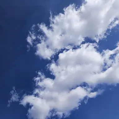 Profile image of 백지헌