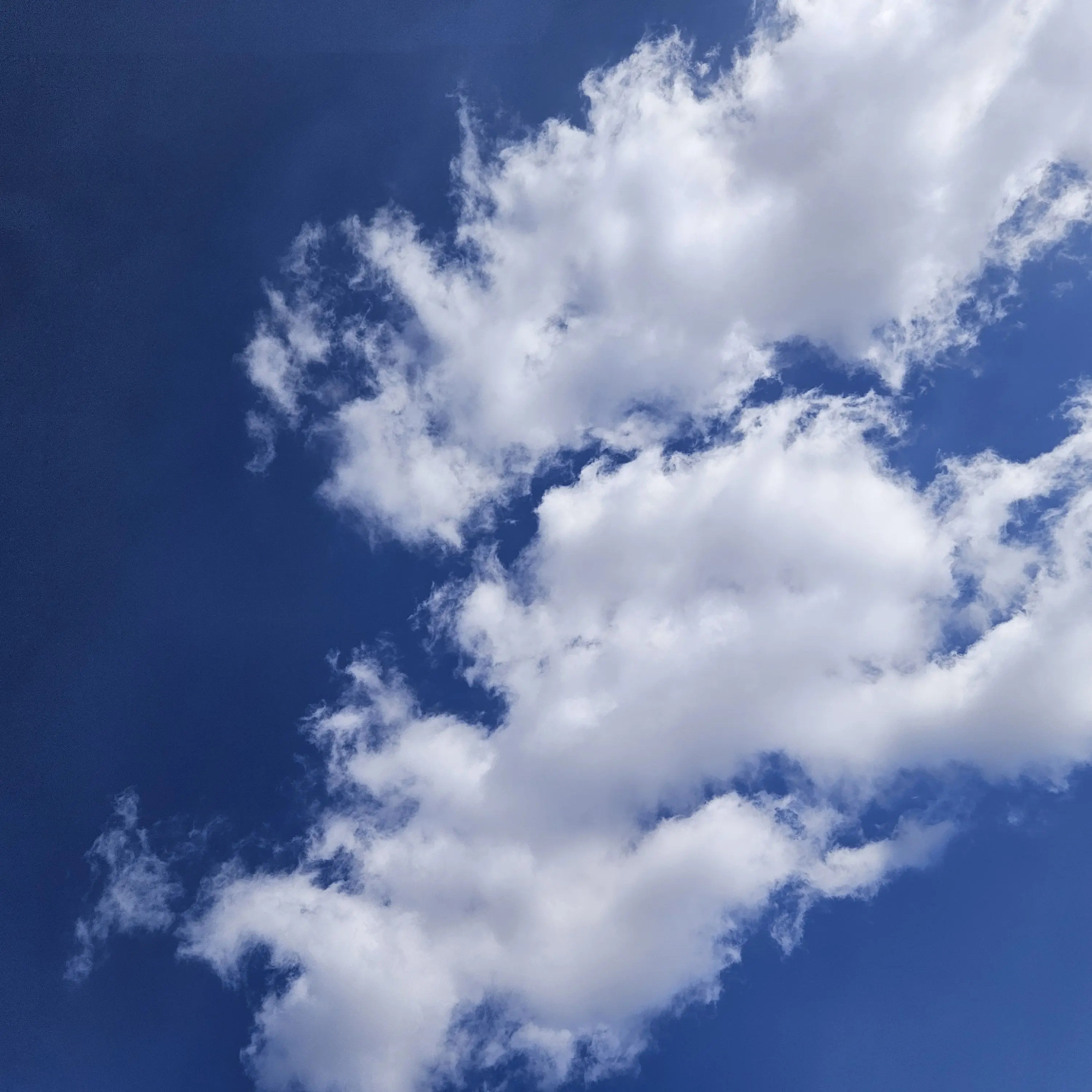 WryVise7400의 백지헌