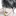 존하민