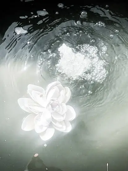 BroadLily3962의 ─