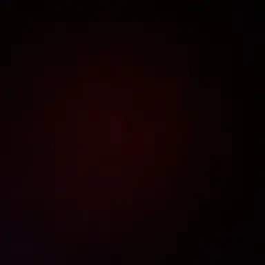 Profile image of 채유