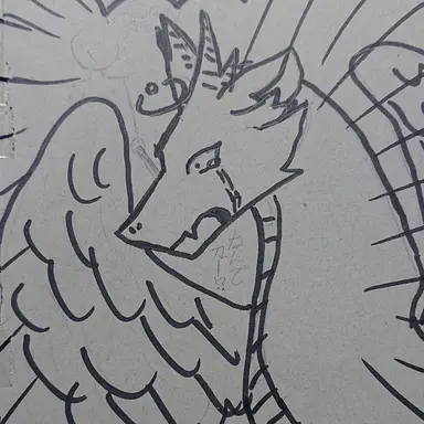 Profile image of ドラ
