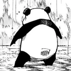 Profile image of Panda
