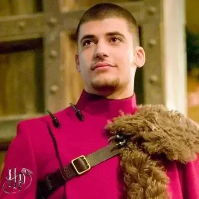LovedPond3423의 Viktor Krum