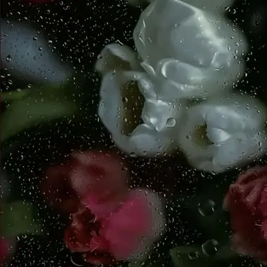 Profile image of ゆあん