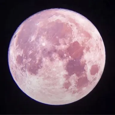 Profile image of マチ