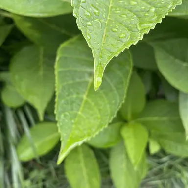 Profile image of 정형준