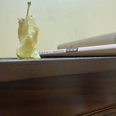 Profile image of 김일영