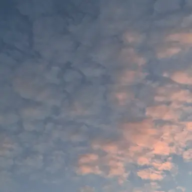 Profile image of 님이 원하는캐릭터