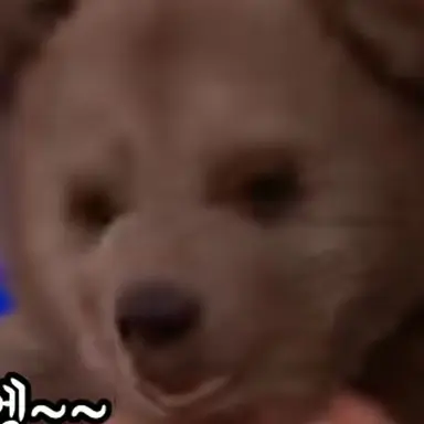 Profile image of 선생님