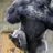 前節のマウンテン