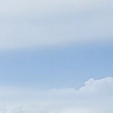 김훈