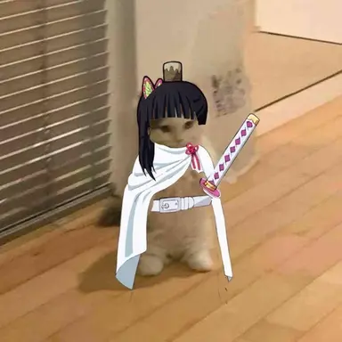 Profile image of Yuki
