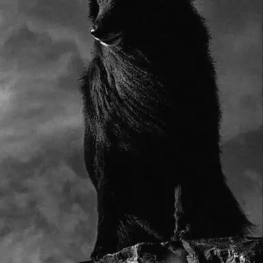Profile image of Heukwol