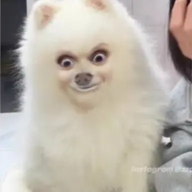 Profile image of Yeou