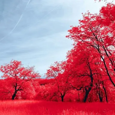 Profile image of 렌고쿠 쿄쥬로