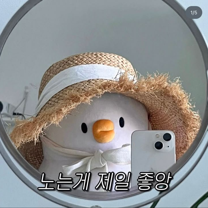 나른한 패밀리(유저님)와 여우🦊 대표 이미지
