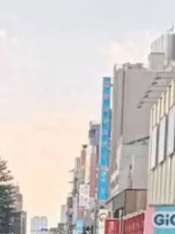 Nintama5156의 두부를 좋아하는 포메라니안!!