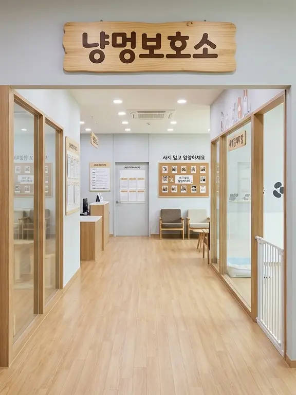 FruityWeek7787의 당신은 아이브가 데려가려는 고양이?!