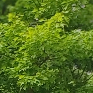 이도운