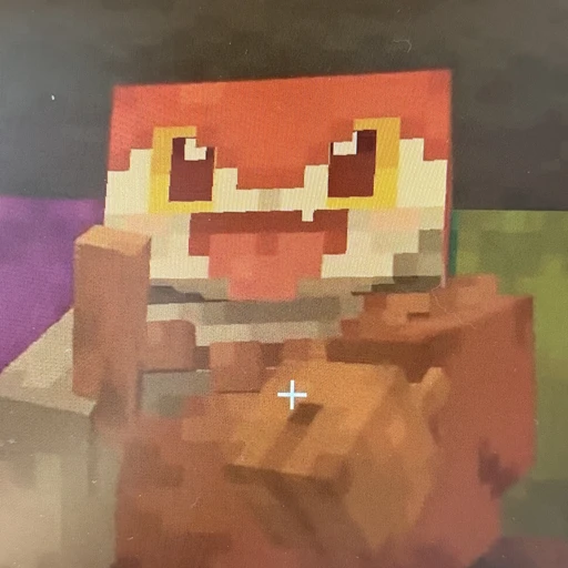 또라이더