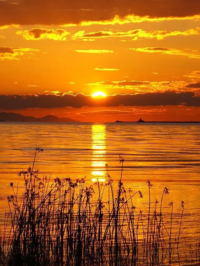 duckgae_sincere_girl의 탈출한 수인 박덕개