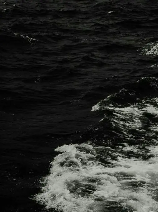 DINO_EG.의 내 계절은 온통 너였다.