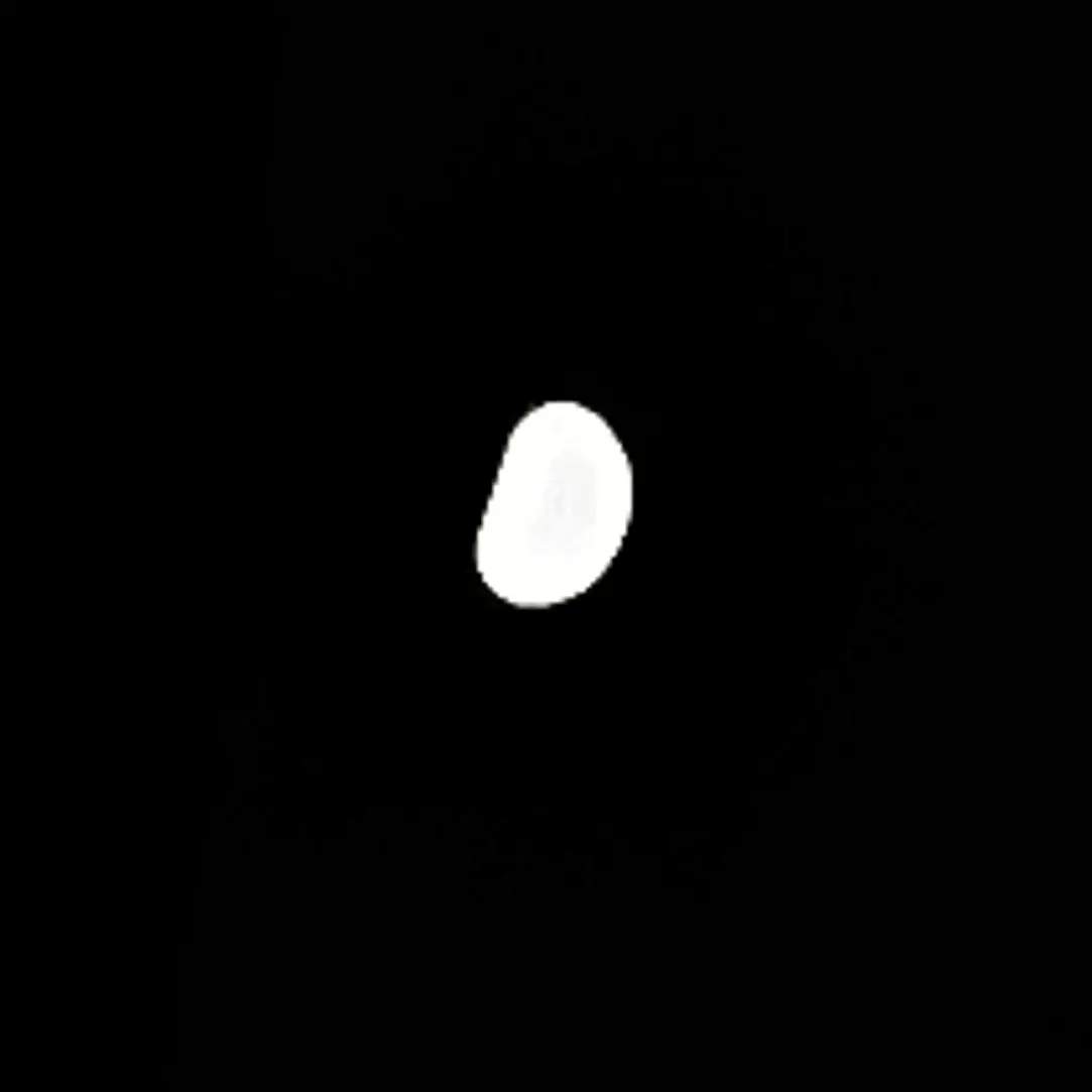y.w_o의 감자칩