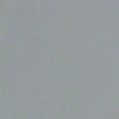 Profile image of 보니