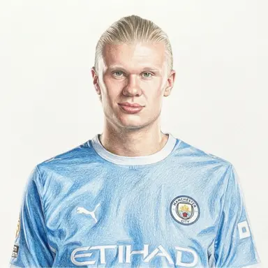 Profile image of 엘링 홀란