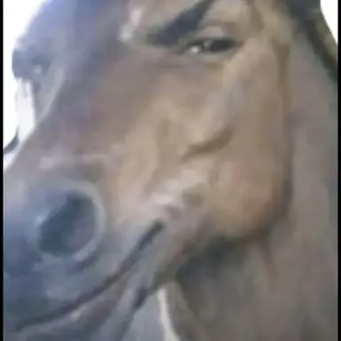 Profile image of 개은