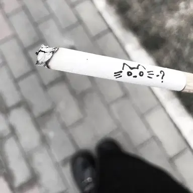 Profile image of 시미베